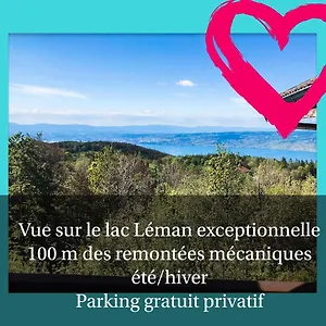 https://le-lman.hotels-rhonealpes.com